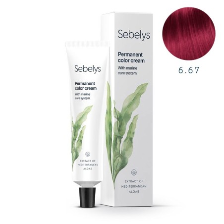 Sebelys Farbstoff 100ml -Permanente Farbstoffe -Sebelys
