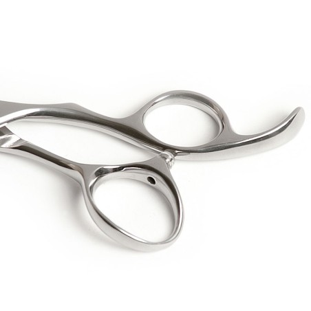 Takimura Modellierschere 6,5'' 16,51cm Beardburys -Friseurscheren und Rasierer -Beardburys