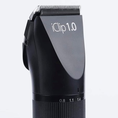 iClip 1.0 Pink-Magenta-Schneidemaschine -Friseurgeräte -Giubra