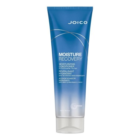 JOICO Moisture Recovery Conditioner 250ml -Conditioners -JOICO