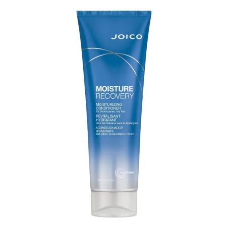 JOICO Moisture Recovery Conditioner 250ml -Conditioners -JOICO