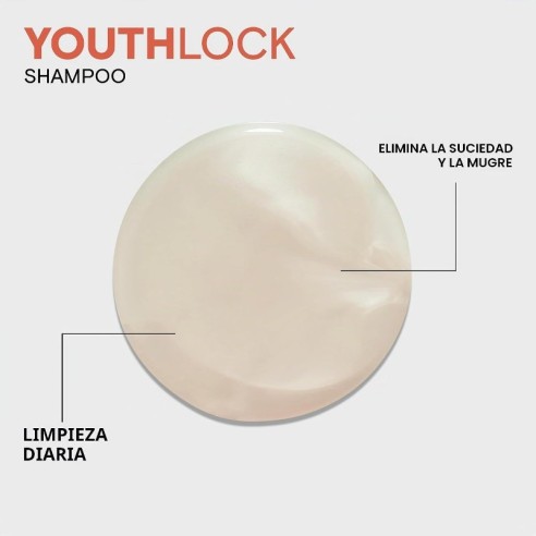 JOICO YouthLock Champú con Colágeno 300ml -Champús -JOICO