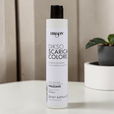Farbentfernendes Shampoo Dikson Dikso Scaricacolore 250ml -Shampoos -Dikson